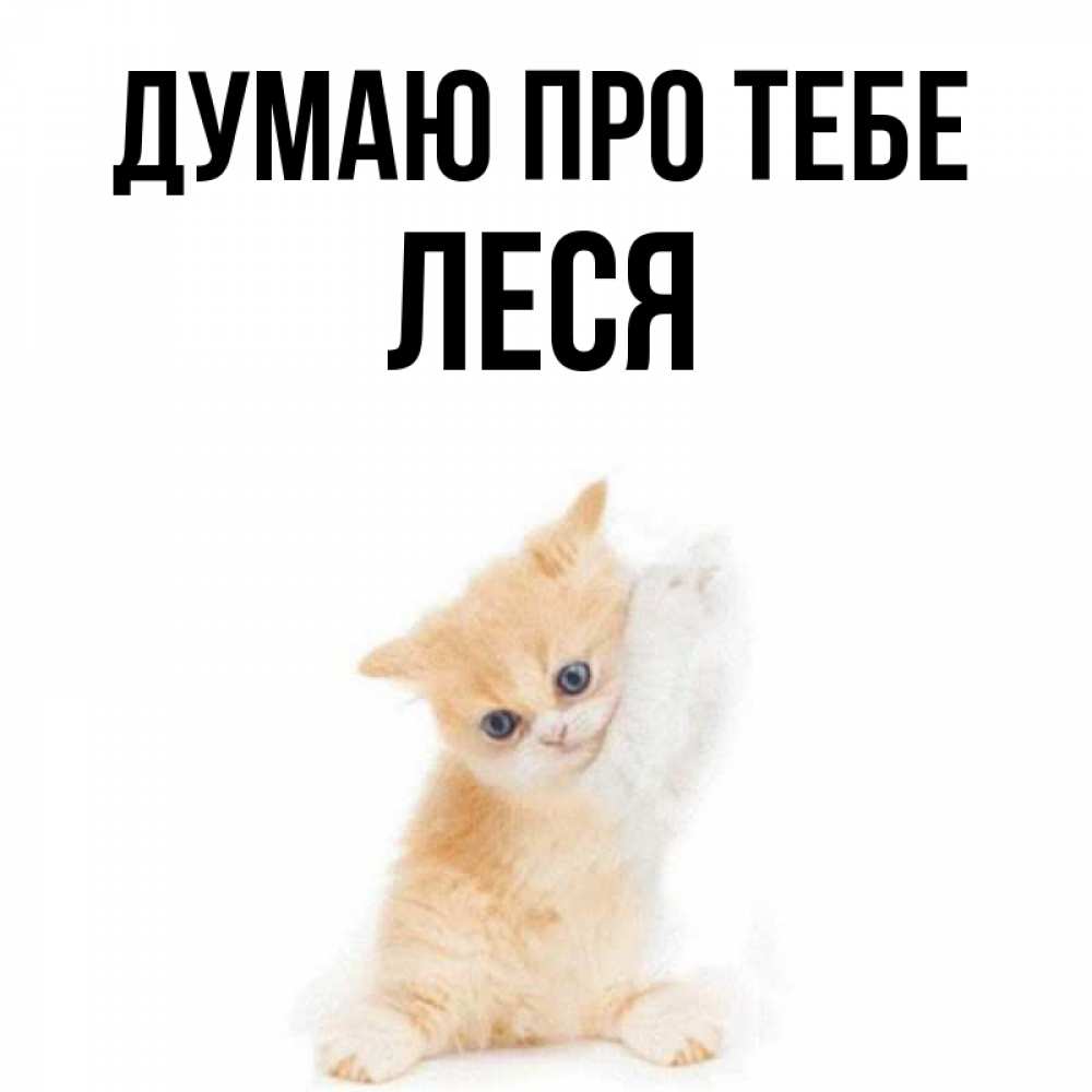 Открытка на каждый день з підписом, Леся Думаю про тебе зверушки и милота Прикольна листівка з побажанням онлайн скачати безкоштовно 