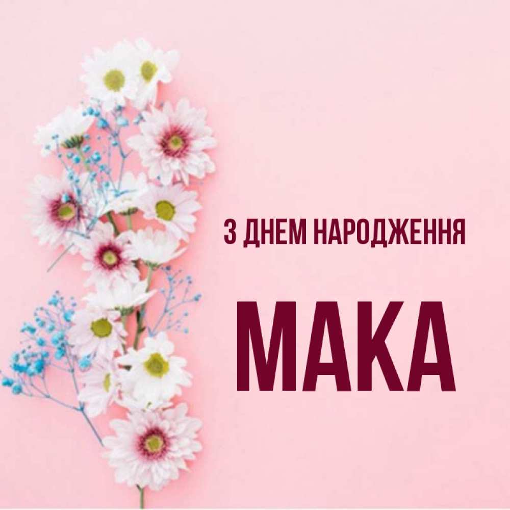 Открытка на каждый день з підписом, Мака З Днем народження Родная моя с днем рождения тебя картинка с цветами белыми и голубыми Прикольна листівка з побажанням онлайн скачати безкоштовно 