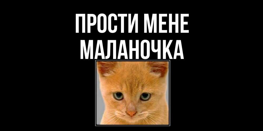 Открытка на каждый день з підписом, Маланочка Прости мене рыжий грустный кот просит прощения Прикольна листівка з побажанням онлайн скачати безкоштовно 
