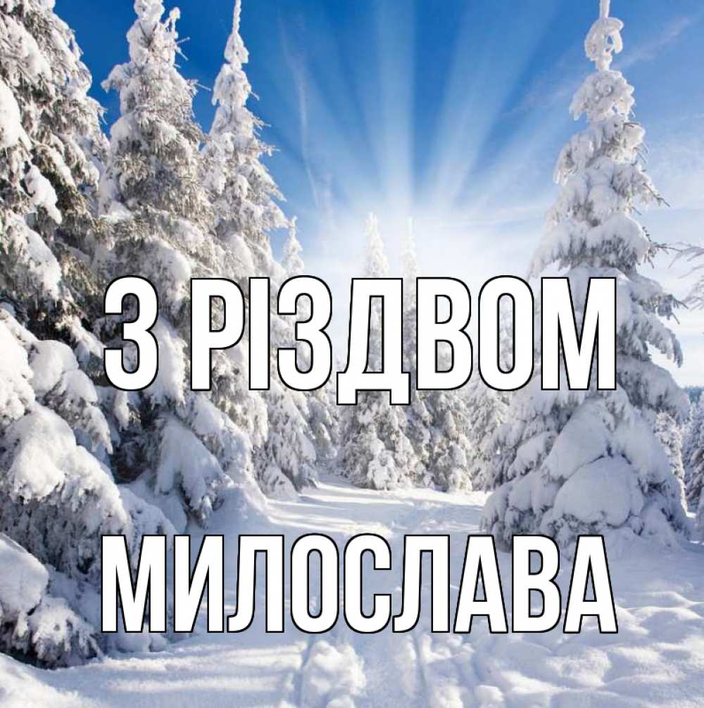 Открытка на каждый день з підписом, Милослава З Різдвом зима, лес Прикольна листівка з побажанням онлайн скачати безкоштовно 