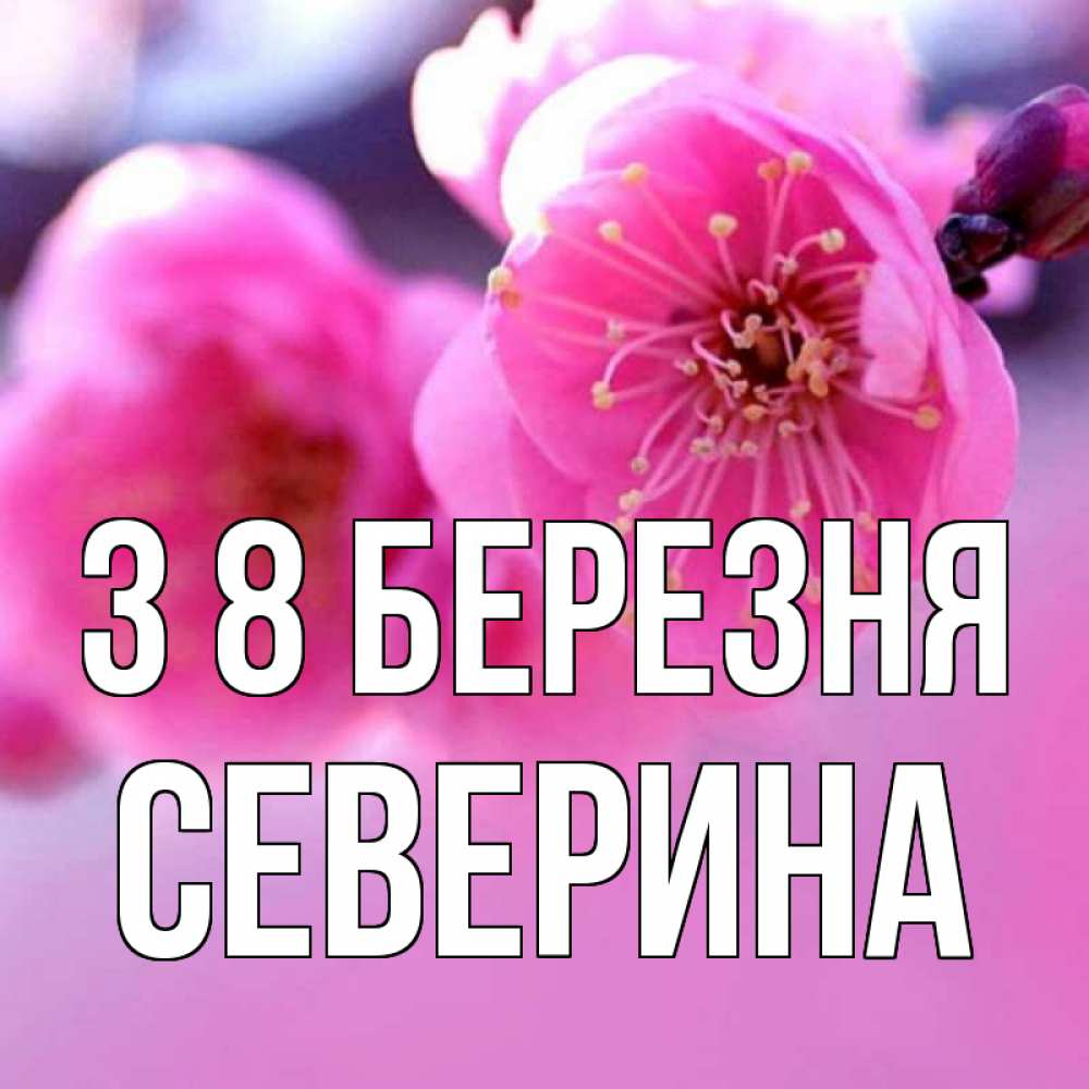Открытка на каждый день з підписом, Северина З 8 БЕРЕЗНЯ международный женский день Прикольна листівка з побажанням онлайн скачати безкоштовно 