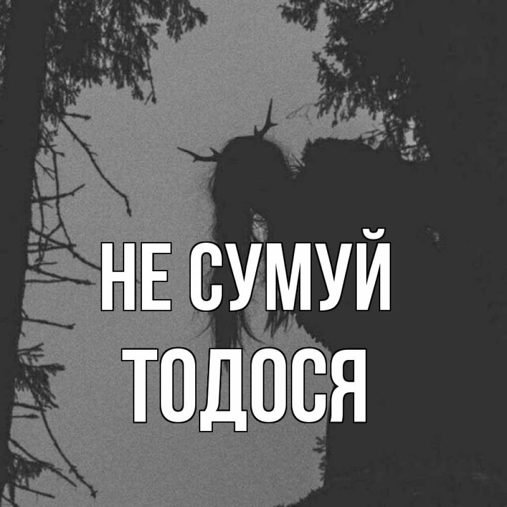 Открытка на каждый день з підписом, Тодося Не сумуй чудище лесное Прикольна листівка з побажанням онлайн скачати безкоштовно 