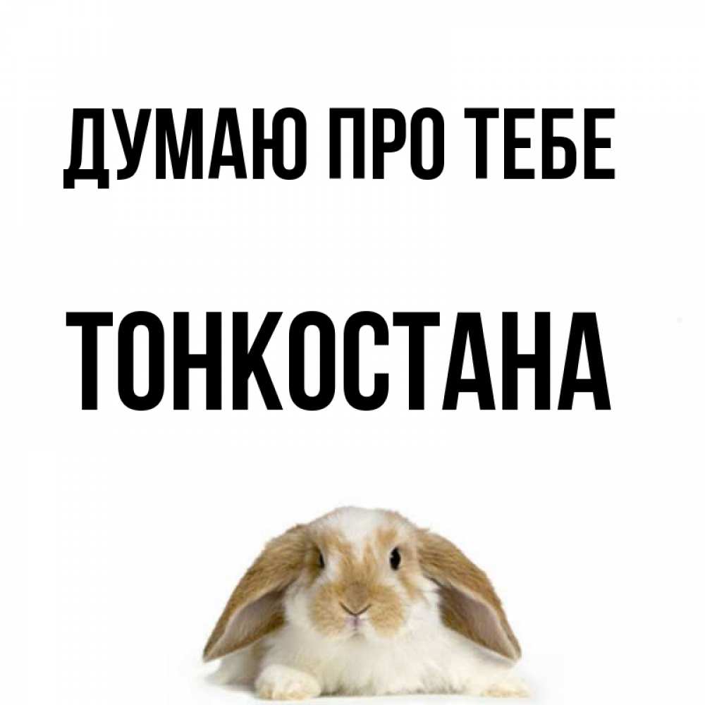 Открытка на каждый день з підписом, Тонкостана Думаю про тебе подписать своими руками онлайн Прикольна листівка з побажанням онлайн скачати безкоштовно 