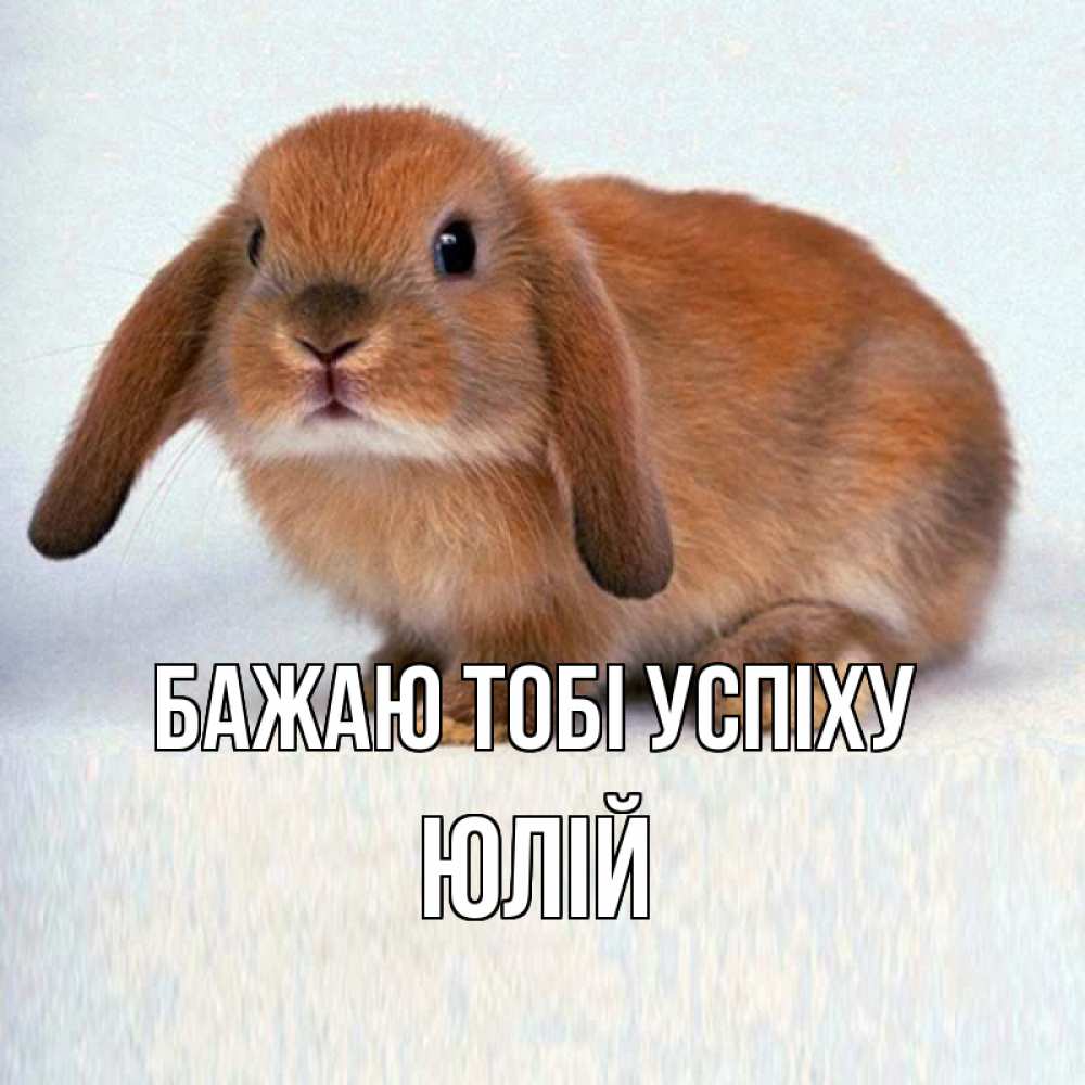 Открытка на каждый день з підписом, Юлій Бажаю тобі успіху вставить текст в открытку по выбору Прикольна листівка з побажанням онлайн скачати безкоштовно 