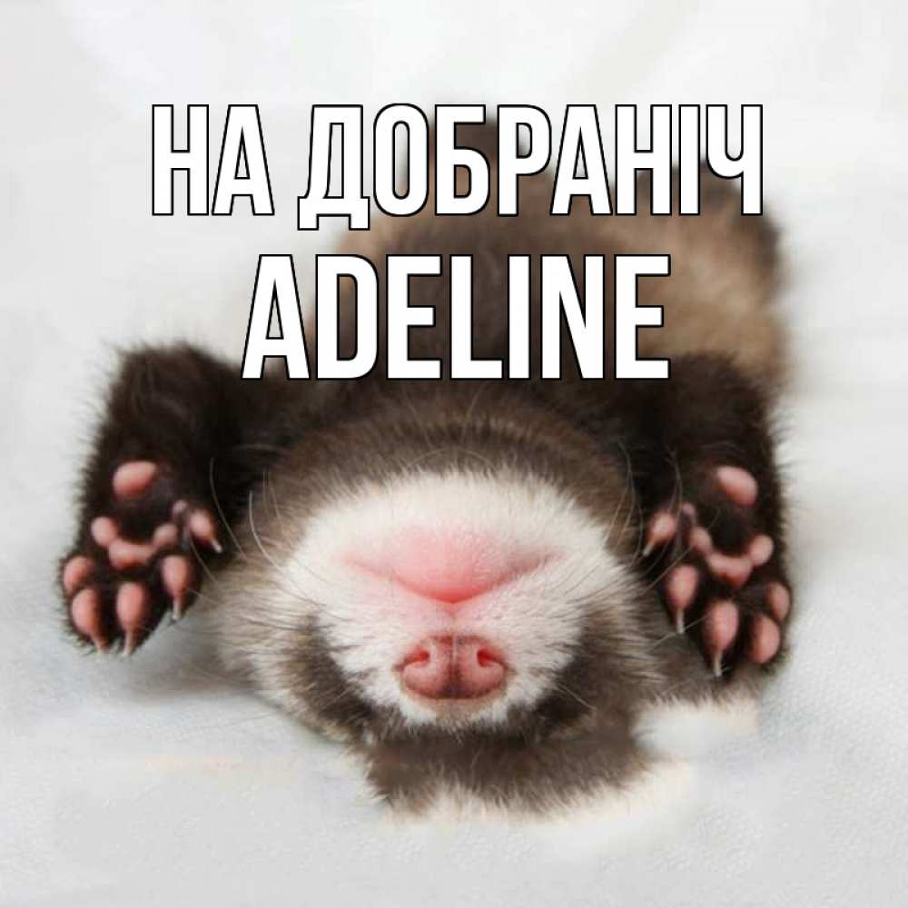 Открытка на каждый день з підписом, Adeline На добраніч зверек Прикольна листівка з побажанням онлайн скачати безкоштовно 