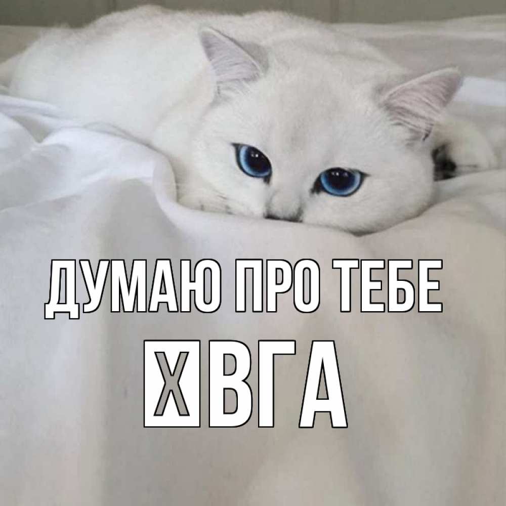 Открытка на каждый день з підписом, Ївга Думаю про тебе я очень по тебе скучаю и тоскую Прикольна листівка з побажанням онлайн скачати безкоштовно 