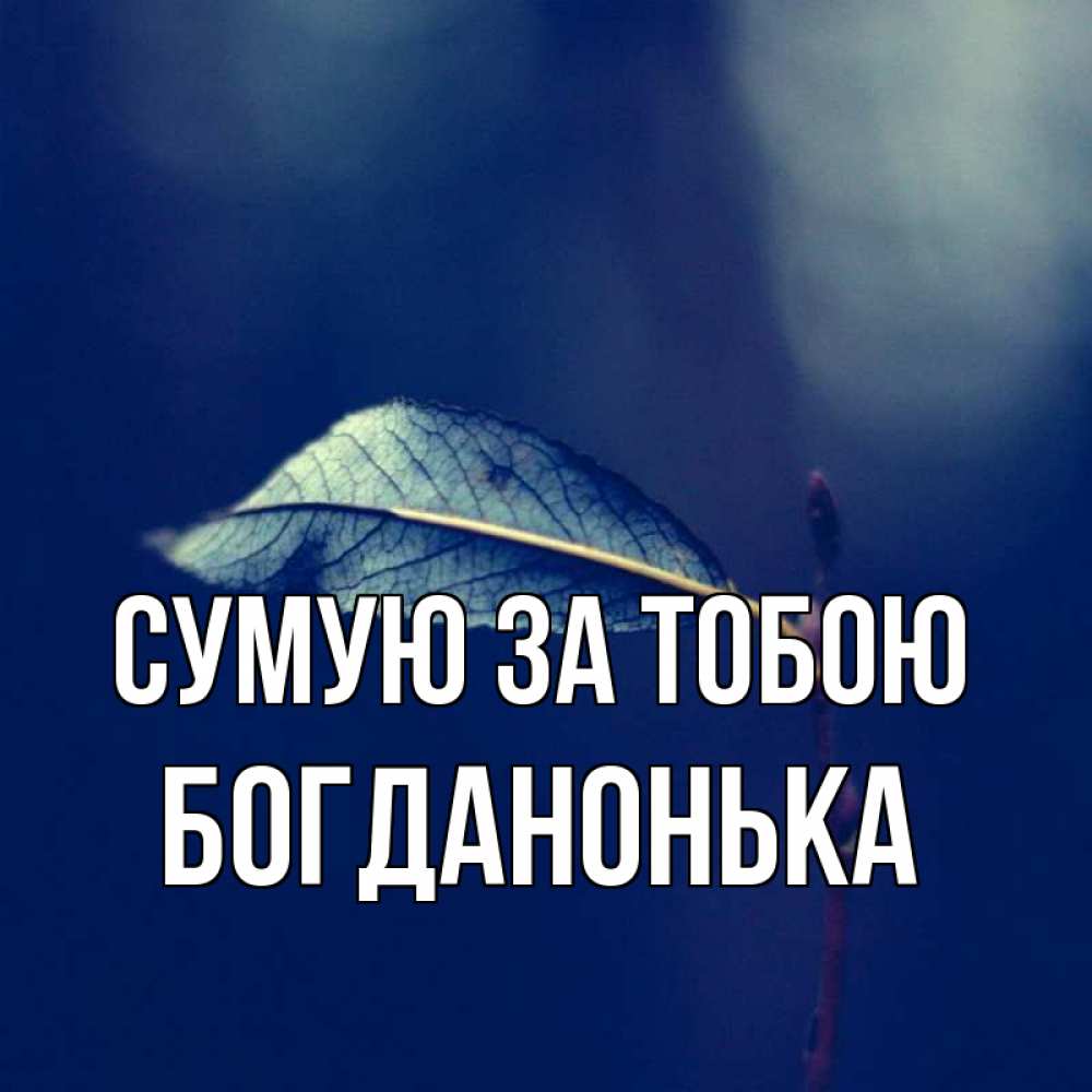 Открытка на каждый день з підписом, Богданонька Сумую за тобою одна ветка 1 Прикольна листівка з побажанням онлайн скачати безкоштовно 