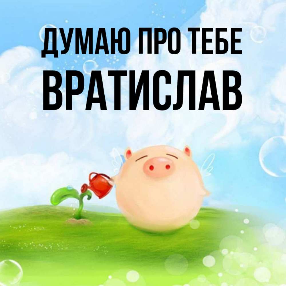 Открытка на каждый день з підписом, Вратислав Думаю про тебе позитивная свинюшка Прикольна листівка з побажанням онлайн скачати безкоштовно 