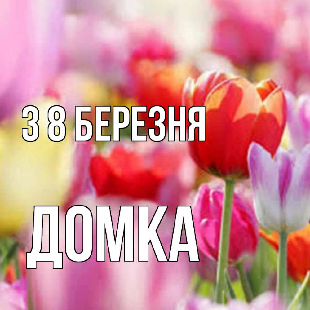 Открытка на каждый день з підписом, Домка З 8 БЕРЕЗНЯ на международный женский день 2 Прикольна листівка з побажанням онлайн скачати безкоштовно 
