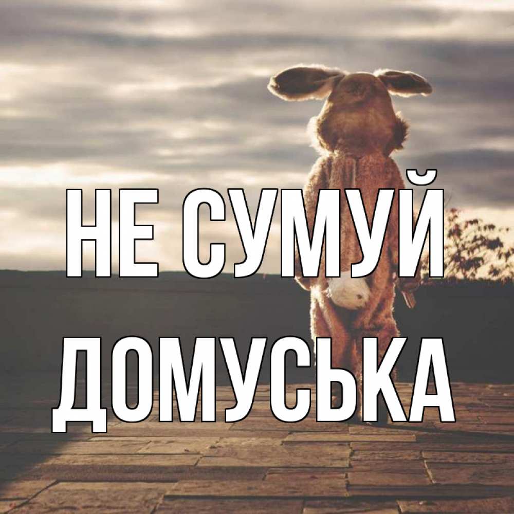 Открытка на каждый день з підписом, Домуська Не сумуй со спины Прикольна листівка з побажанням онлайн скачати безкоштовно 