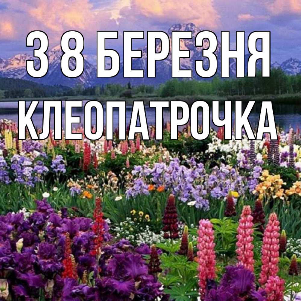 Открытка на каждый день з підписом, Клеопатрочка З 8 БЕРЕЗНЯ международный женский день Прикольна листівка з побажанням онлайн скачати безкоштовно 