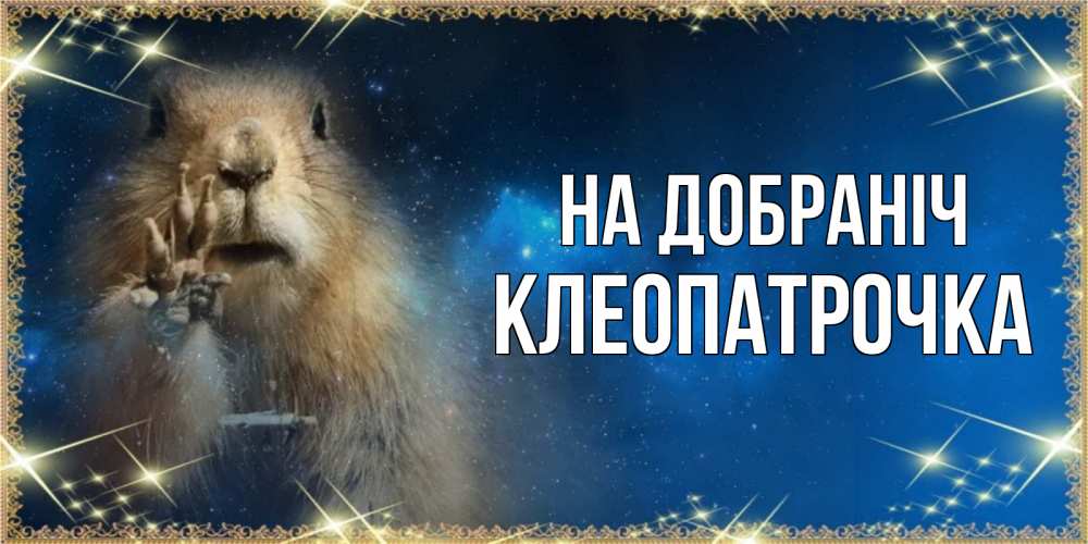 Открытка на каждый день з підписом, Клеопатрочка На добраніч спокойной ночи сладких снов Прикольна листівка з побажанням онлайн скачати безкоштовно 