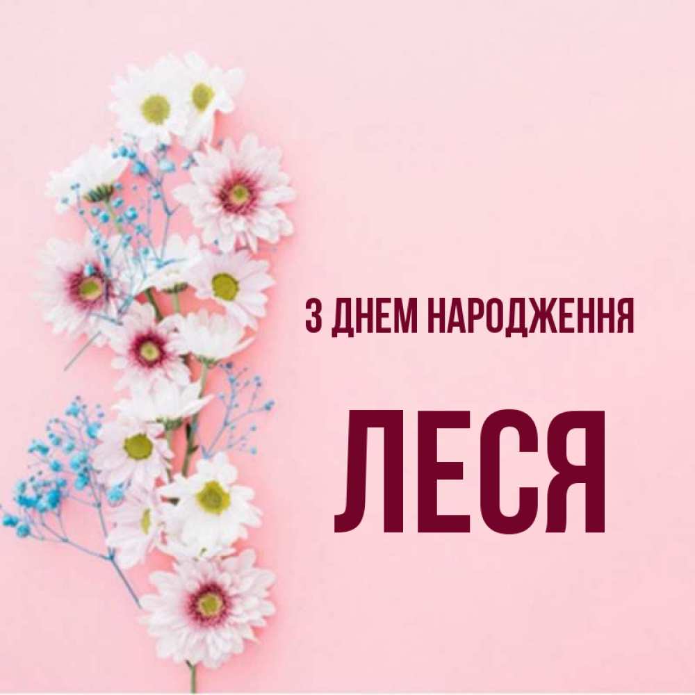 Открытка на каждый день з підписом, Леся З Днем народження Родная моя с днем рождения тебя картинка с цветами белыми и голубыми Прикольна листівка з побажанням онлайн скачати безкоштовно 