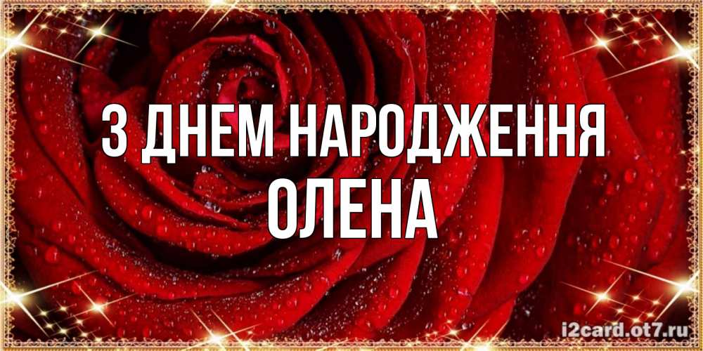 Открытка на каждый день з підписом, Олена З Днем народження роса на розе блестящая в лучах солнца Прикольна листівка з побажанням онлайн скачати безкоштовно 