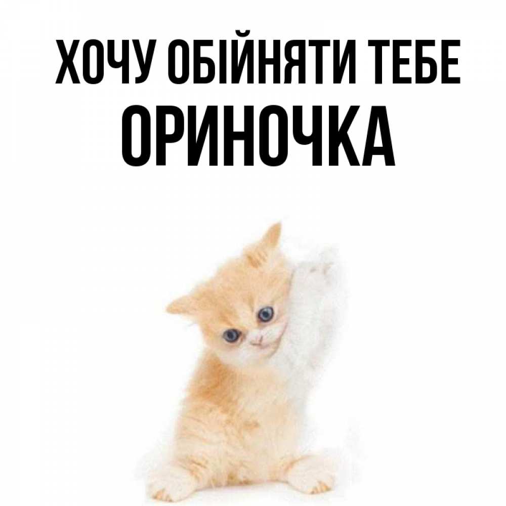 Открытка на каждый день з підписом, Ориночка Хочу обійняти тебе я хочу очень скорее обнимаешек Прикольна листівка з побажанням онлайн скачати безкоштовно 