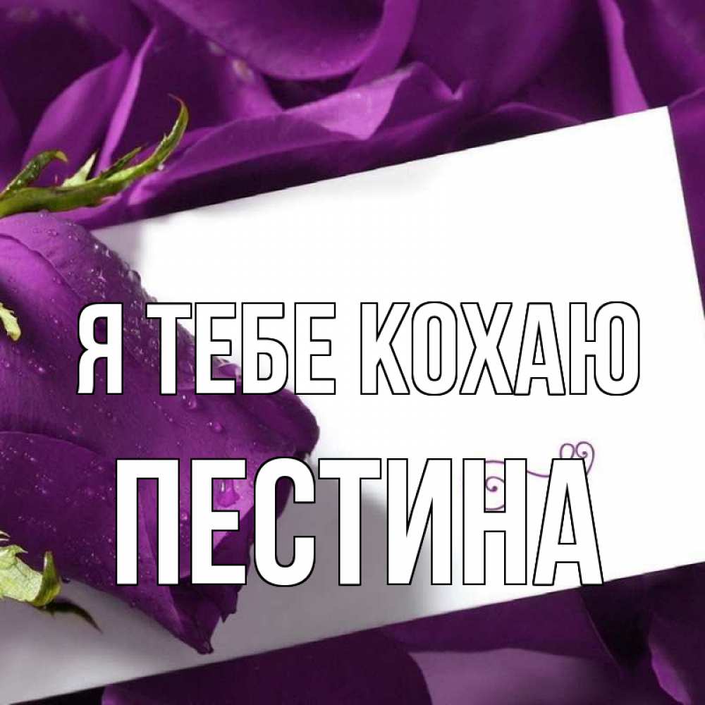 Открытка на каждый день з підписом, Пестина Я тебе кохаю роза Прикольна листівка з побажанням онлайн скачати безкоштовно 