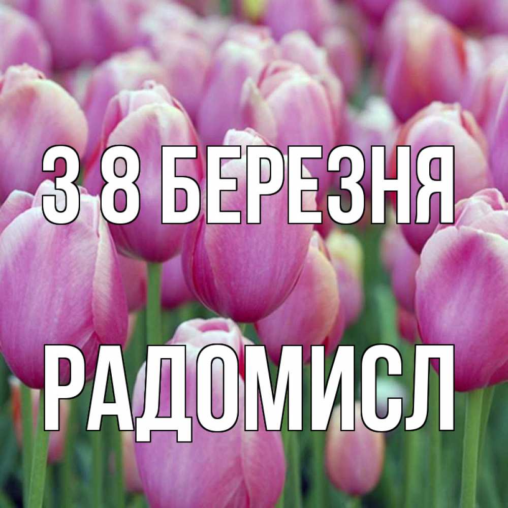 Открытка на каждый день з підписом, Радомисл З 8 БЕРЕЗНЯ на международный женский день 3 Прикольна листівка з побажанням онлайн скачати безкоштовно 