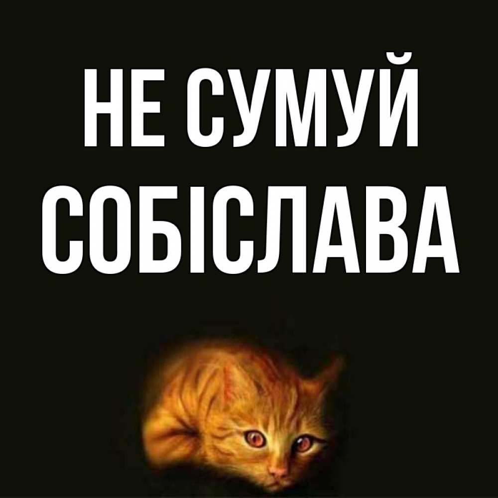 Открытка на каждый день з підписом, Собіслава Не сумуй лежащий кот в темноте Прикольна листівка з побажанням онлайн скачати безкоштовно 