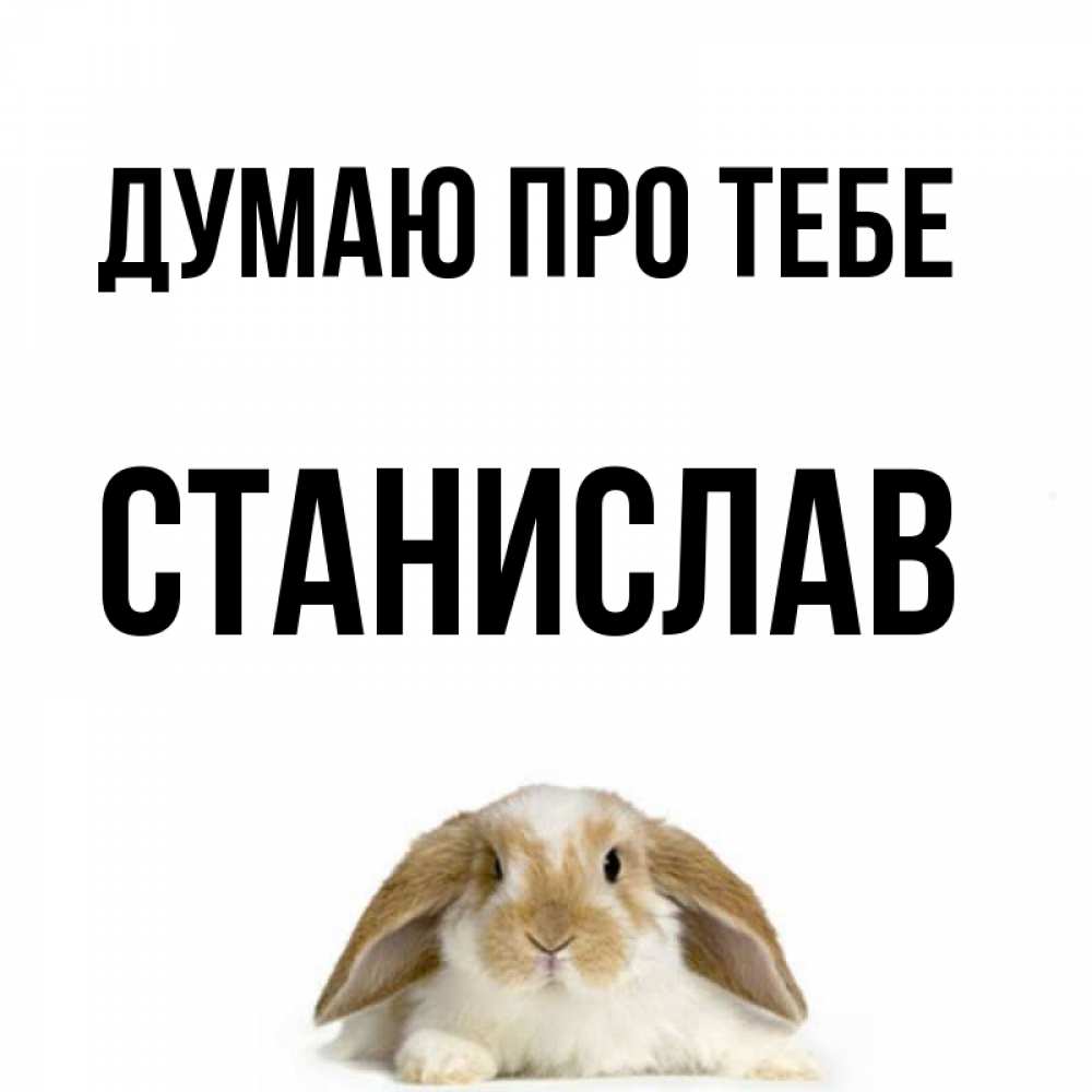 Открытка на каждый день з підписом, Станислав Думаю про тебе подписать своими руками онлайн Прикольна листівка з побажанням онлайн скачати безкоштовно 