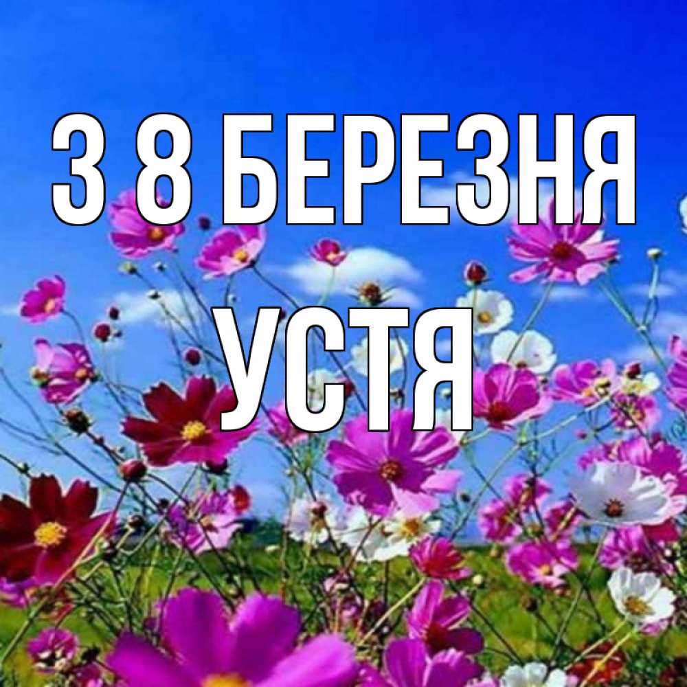Открытка на каждый день з підписом, Устя З 8 БЕРЕЗНЯ цветы Прикольна листівка з побажанням онлайн скачати безкоштовно 