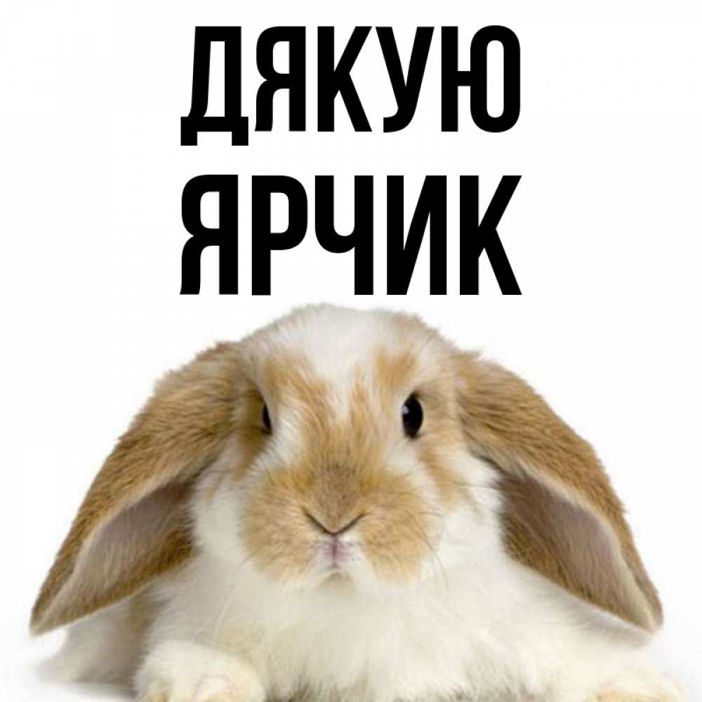 Открытка на каждый день з підписом, Ярчик Дякую коричнево белый заяц Прикольна листівка з побажанням онлайн скачати безкоштовно 