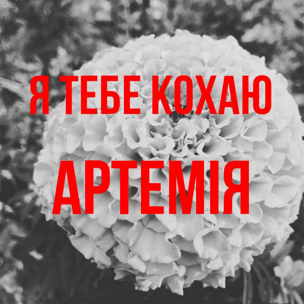 Открытка на каждый день з підписом, Артемія Я тебе кохаю подпись Прикольна листівка з побажанням онлайн скачати безкоштовно 