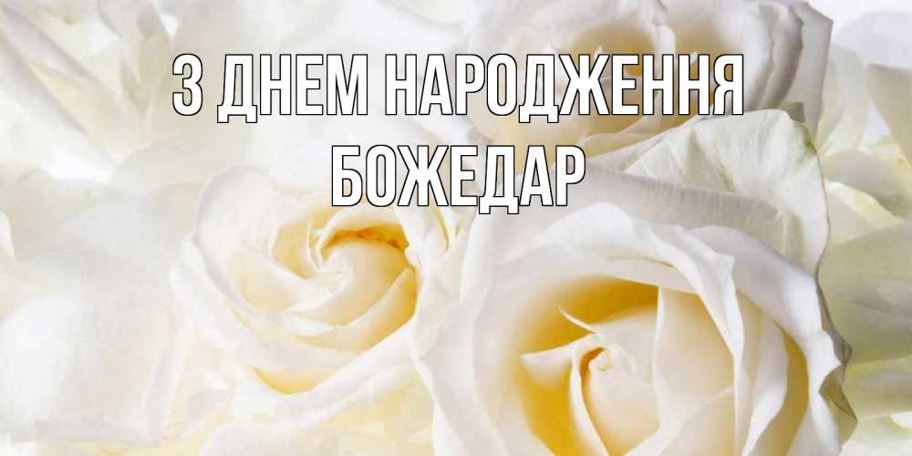 Открытка на каждый день з підписом, Божедар З Днем народження открыточки на день рождения любимым Прикольна листівка з побажанням онлайн скачати безкоштовно 