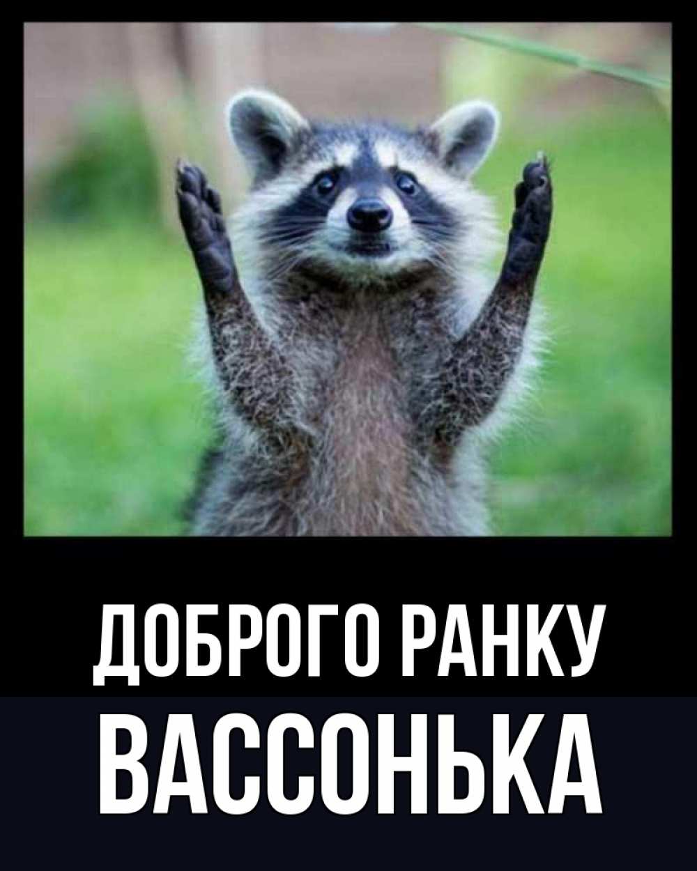 Открытка на каждый день з підписом, Вассонька Доброго ранку хорошее настроение утречком Прикольна листівка з побажанням онлайн скачати безкоштовно 