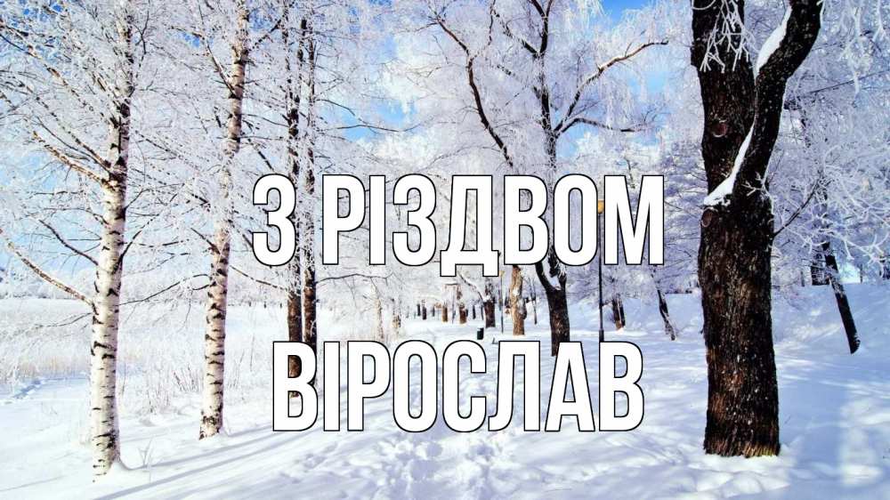 Открытка на каждый день з підписом, Вірослав З Різдвом зимний лес Прикольна листівка з побажанням онлайн скачати безкоштовно 
