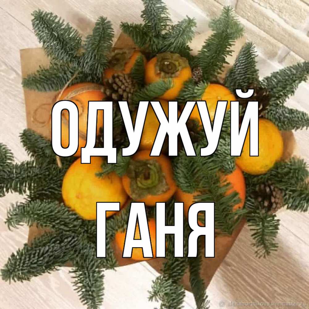Открытка на каждый день з підписом, Ганя Одужуй апельсины и хурьма Прикольна листівка з побажанням онлайн скачати безкоштовно 