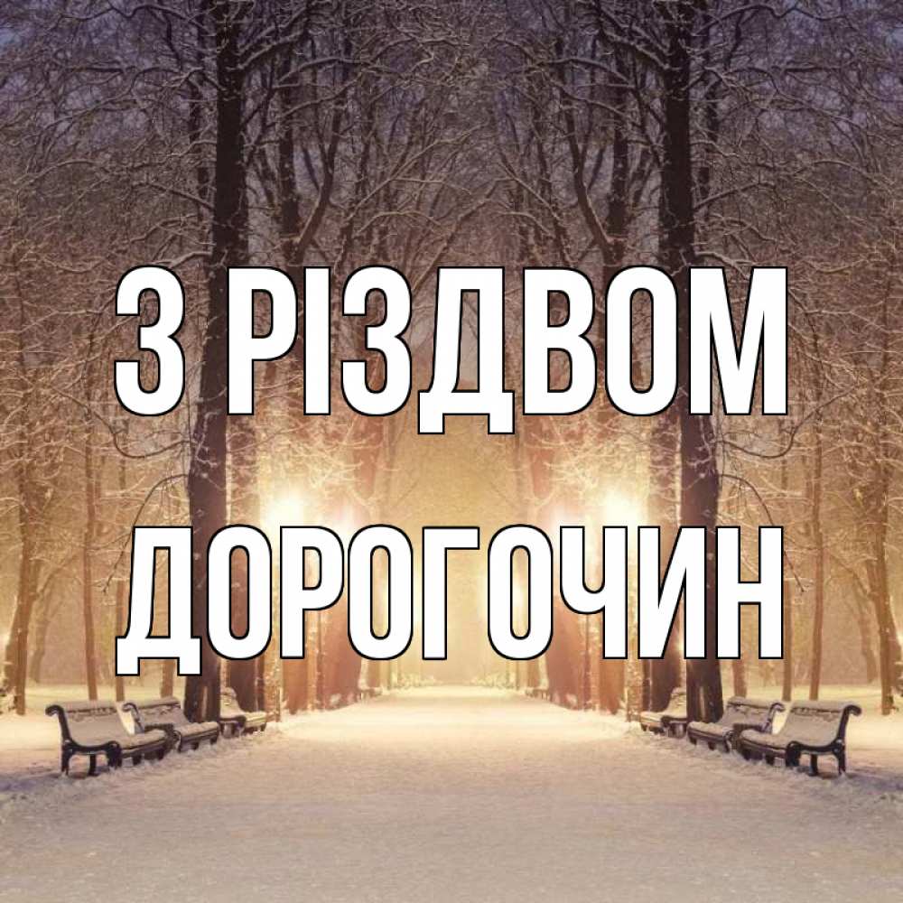 Открытка на каждый день з підписом, Дорогочин З Різдвом зима, парк, фонарь, лес Прикольна листівка з побажанням онлайн скачати безкоштовно 