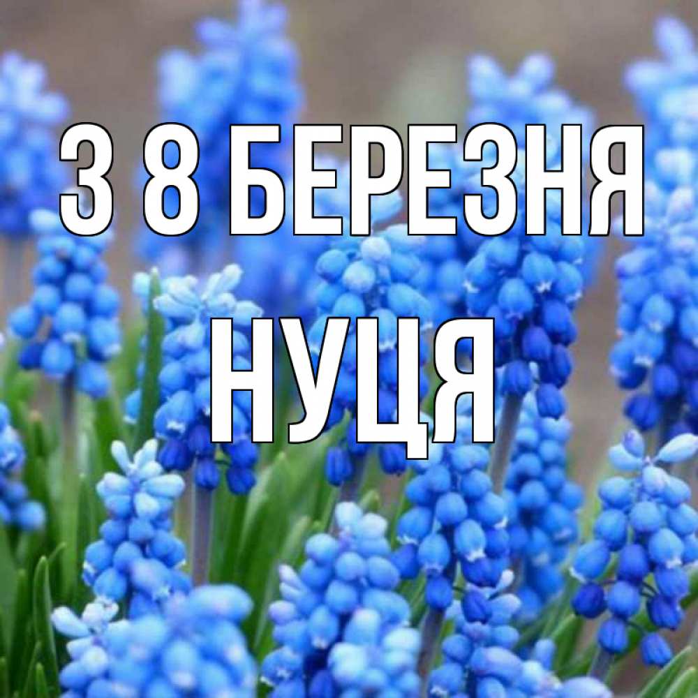 Открытка на каждый день з підписом, Нуця З 8 БЕРЕЗНЯ Поздравительная открытка для женщин с цветами на праздничную дату Прикольна листівка з побажанням онлайн скачати безкоштовно 