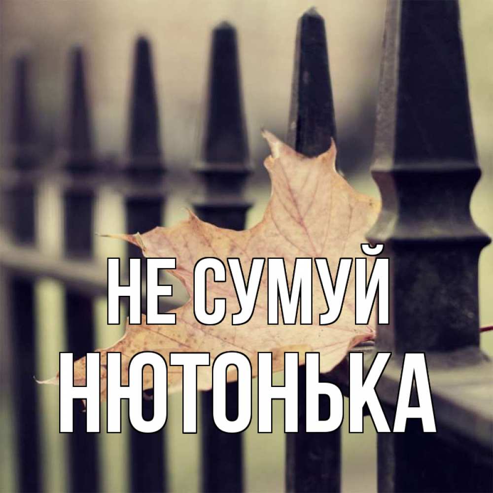 Открытка на каждый день з підписом, Нютонька Не сумуй лист клена Прикольна листівка з побажанням онлайн скачати безкоштовно 