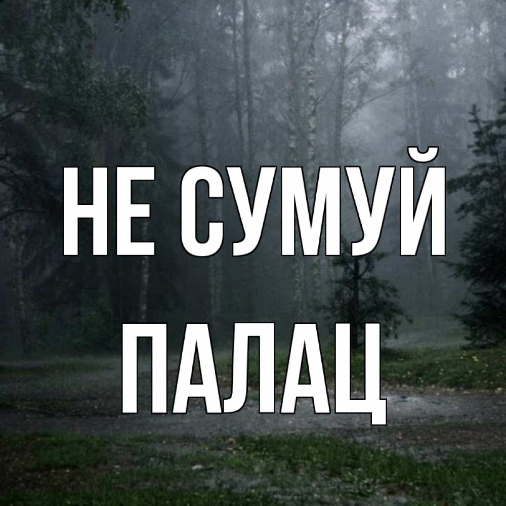 Открытка на каждый день з підписом, Палац Не сумуй осень Прикольна листівка з побажанням онлайн скачати безкоштовно 