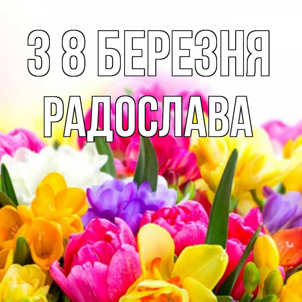 Открытка на каждый день з підписом, Радослава З 8 БЕРЕЗНЯ тюльпаны Прикольна листівка з побажанням онлайн скачати безкоштовно 