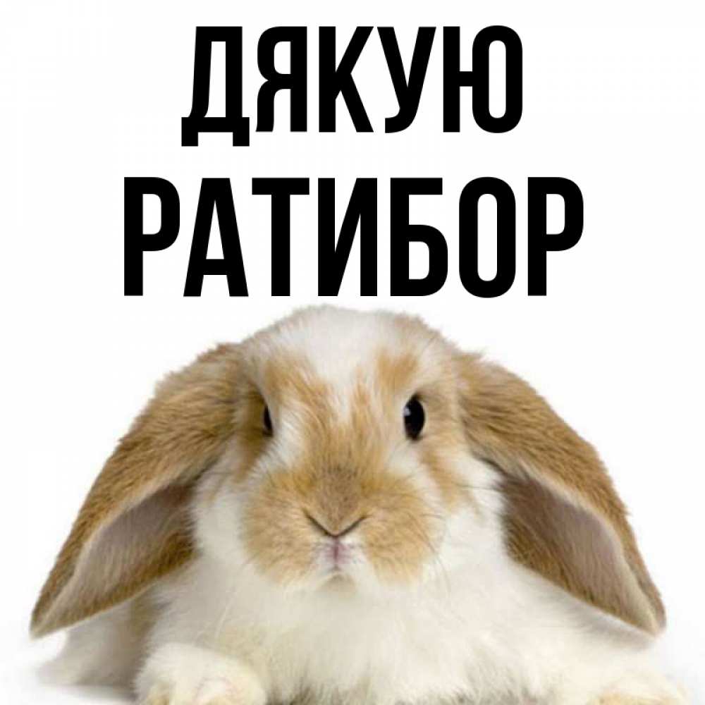 Открытка на каждый день з підписом, Ратибор Дякую коричнево белый заяц Прикольна листівка з побажанням онлайн скачати безкоштовно 