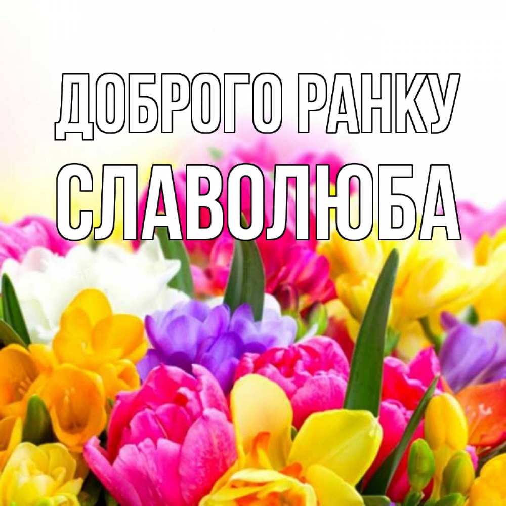 Открытка на каждый день з підписом, Славолюба Доброго ранку создать открытку со свое подписью Прикольна листівка з побажанням онлайн скачати безкоштовно 