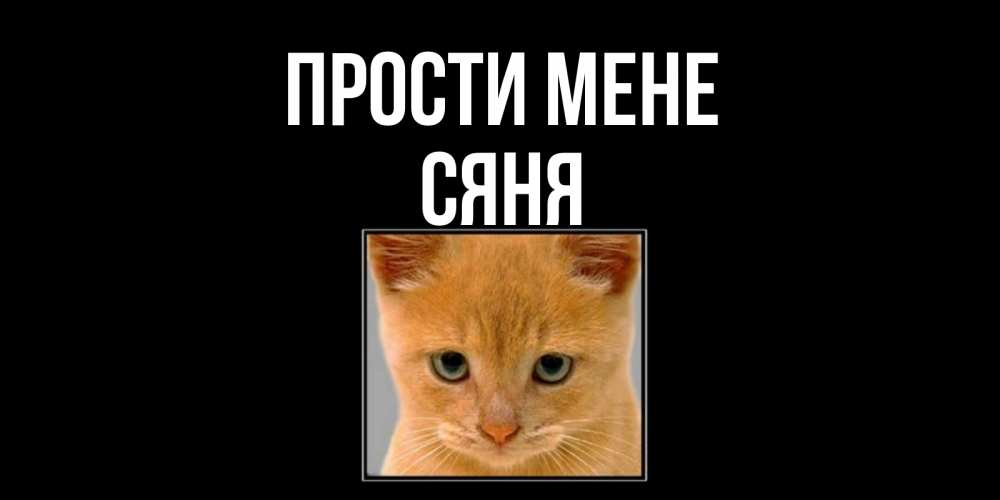 Открытка на каждый день з підписом, Сяня Прости мене рыжий грустный кот просит прощения Прикольна листівка з побажанням онлайн скачати безкоштовно 