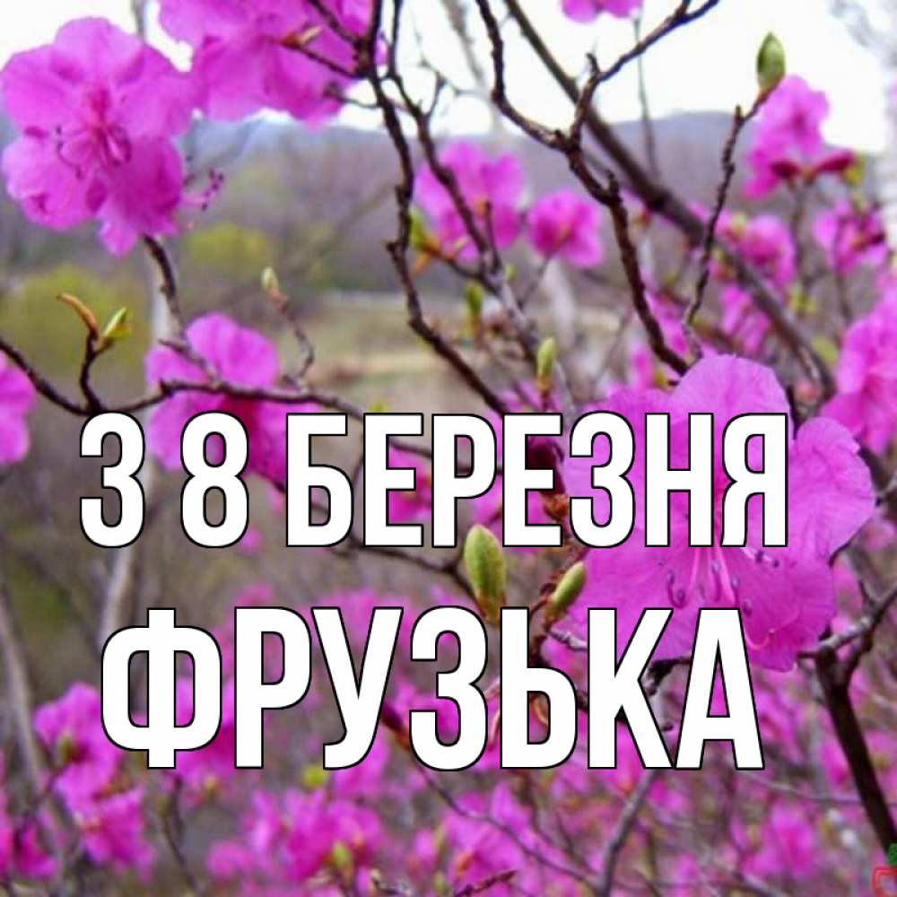 Открытка на каждый день з підписом, Фрузька З 8 БЕРЕЗНЯ международный женский день Прикольна листівка з побажанням онлайн скачати безкоштовно 