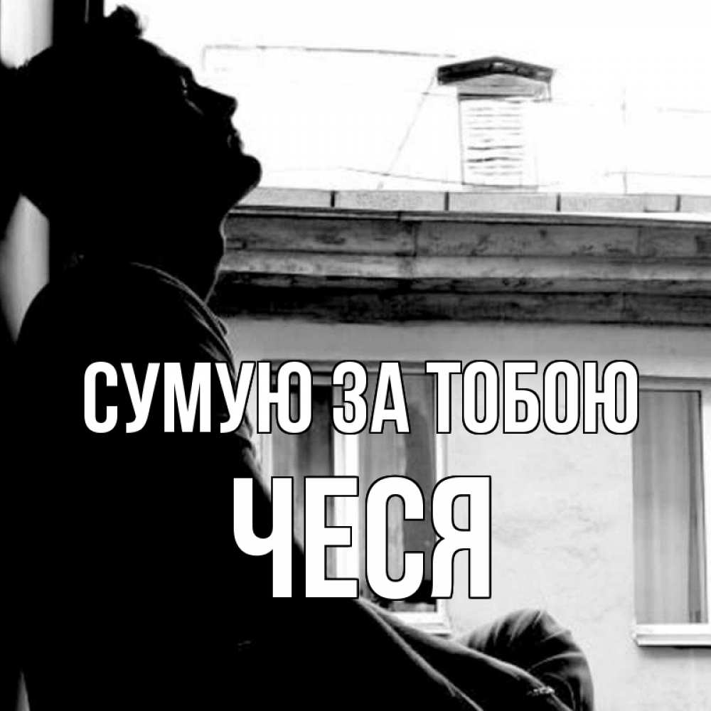 Открытка на каждый день з підписом, Чеся Сумую за тобою скучно ему Прикольна листівка з побажанням онлайн скачати безкоштовно 