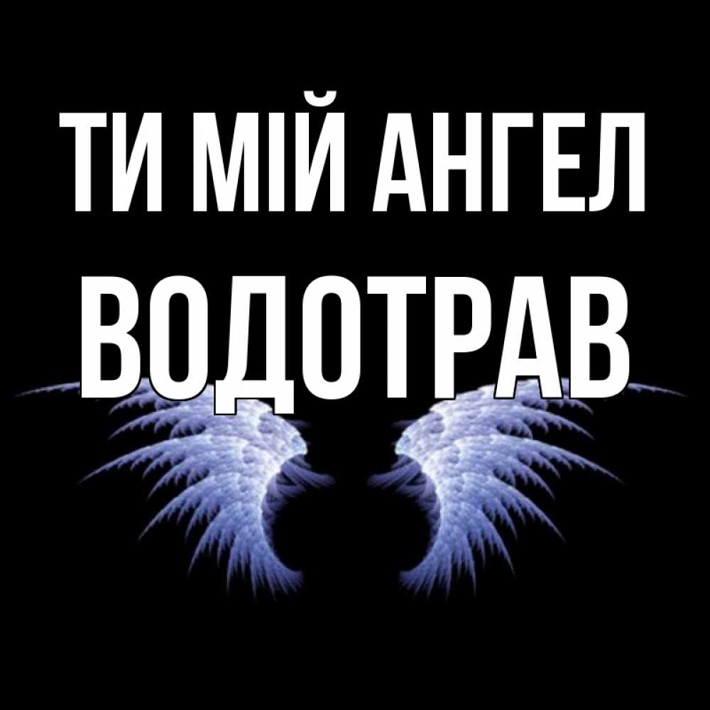 Открытка на каждый день з підписом, Водотрав Ти мій ангел ангельские крылья на черном фоне Прикольна листівка з побажанням онлайн скачати безкоштовно 