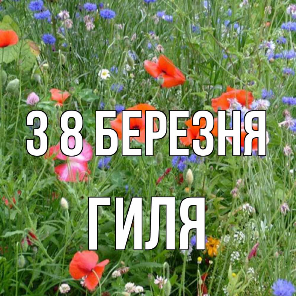 Открытка на каждый день з підписом, Гиля З 8 БЕРЕЗНЯ международный женский день 4 Прикольна листівка з побажанням онлайн скачати безкоштовно 