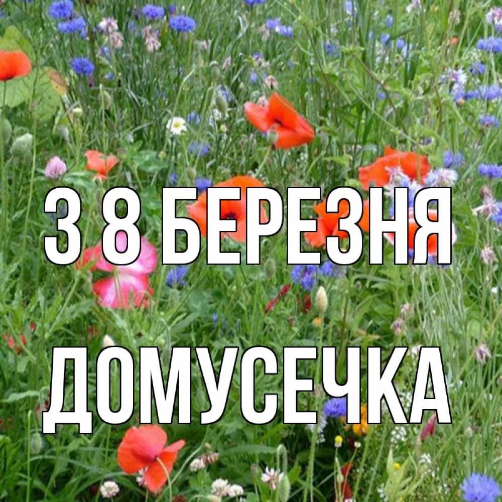 Открытка на каждый день з підписом, Домусечка З 8 БЕРЕЗНЯ международный женский день 4 Прикольна листівка з побажанням онлайн скачати безкоштовно 