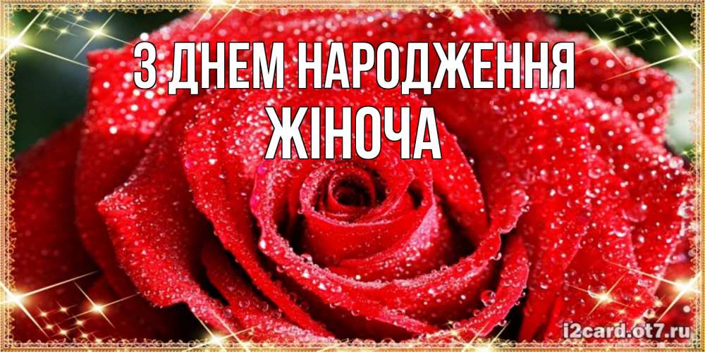 Открытка на каждый день з підписом, Жіноча З Днем народження роса и роза. открытка с красивой розой Прикольна листівка з побажанням онлайн скачати безкоштовно 