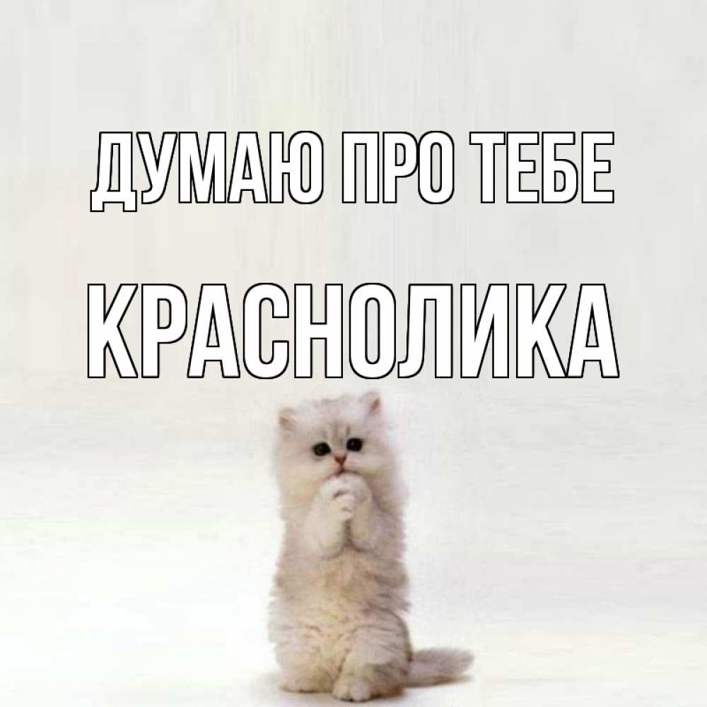 Открытка на каждый день з підписом, Краснолика Думаю про тебе кот стоит на задних лапах Прикольна листівка з побажанням онлайн скачати безкоштовно 