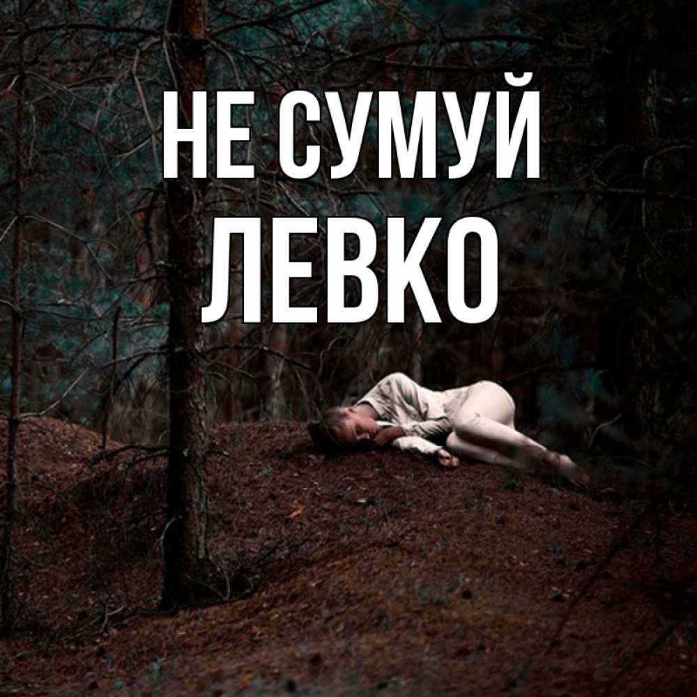 Открытка на каждый день з підписом, Левко Не сумуй лес Прикольна листівка з побажанням онлайн скачати безкоштовно 