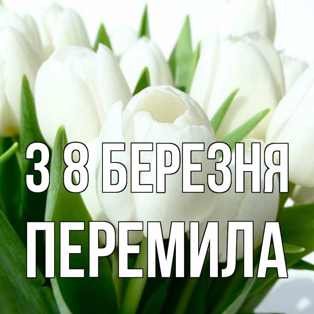 Открытка на каждый день з підписом, Перемила З 8 БЕРЕЗНЯ цветы Прикольна листівка з побажанням онлайн скачати безкоштовно 