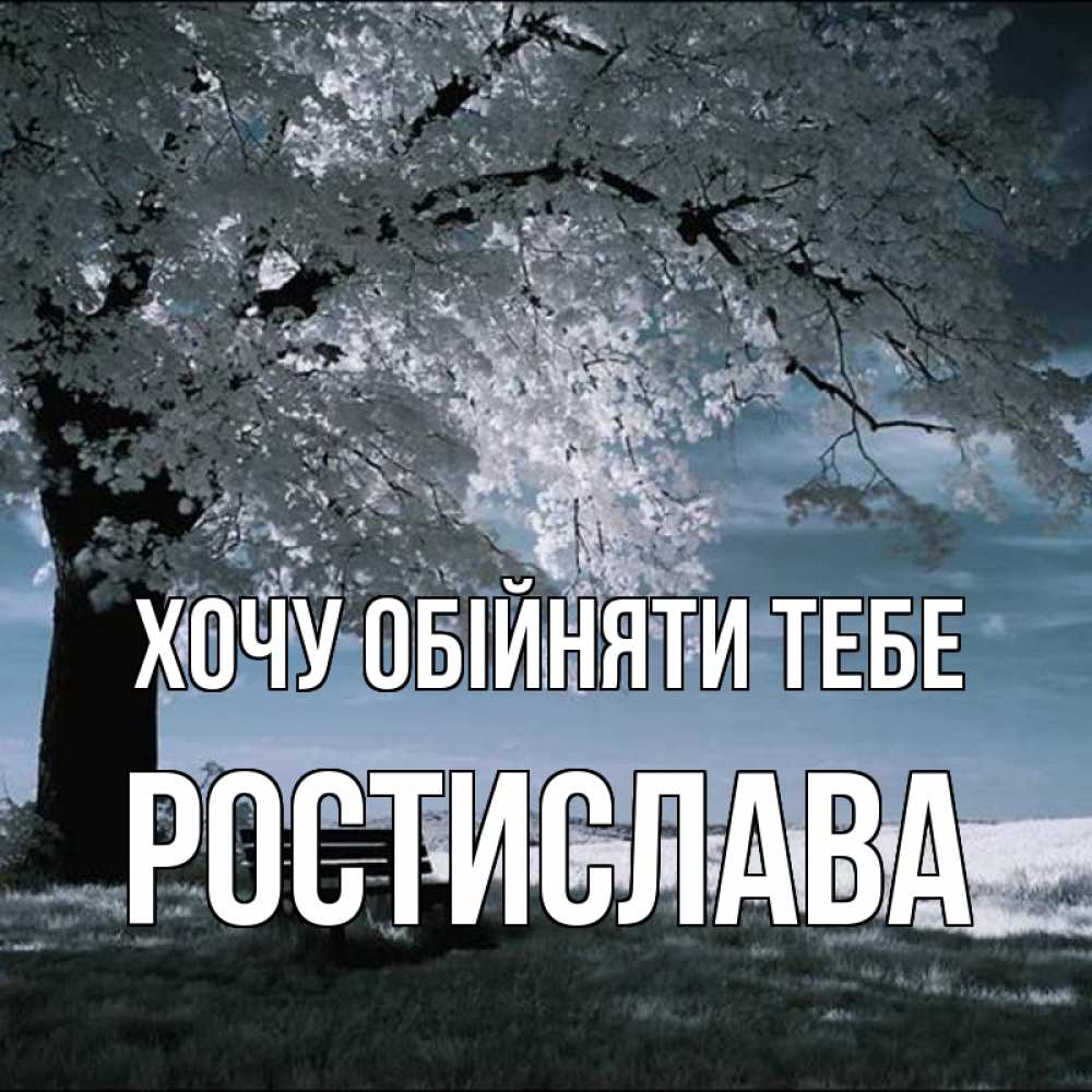 Открытка на каждый день з підписом, Ростислава Хочу обійняти тебе дерево Прикольна листівка з побажанням онлайн скачати безкоштовно 