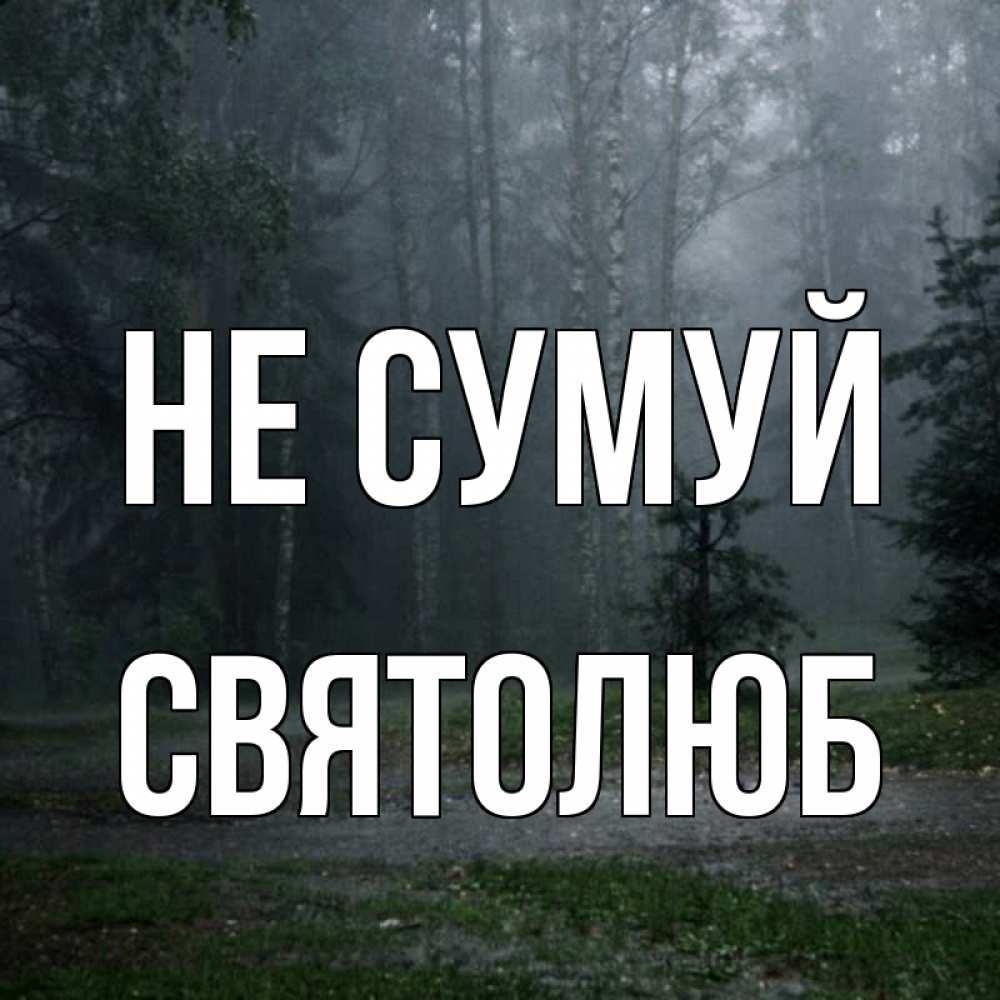 Открытка на каждый день з підписом, Святолюб Не сумуй осень Прикольна листівка з побажанням онлайн скачати безкоштовно 