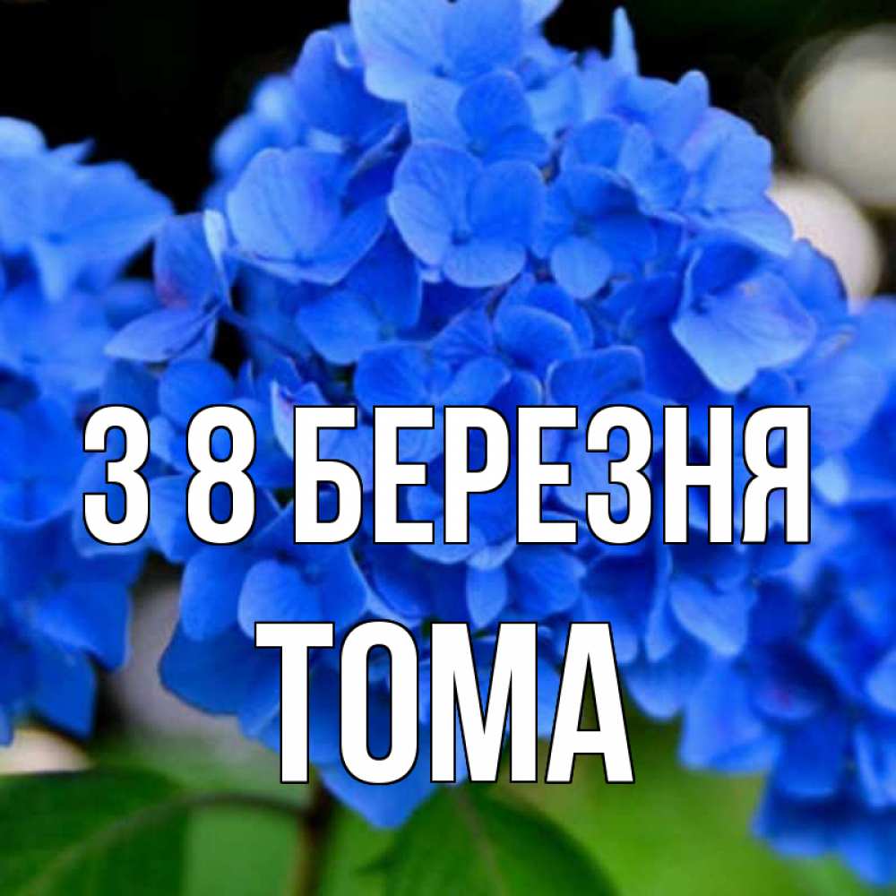 Открытка на каждый день з підписом, Тома З 8 БЕРЕЗНЯ синие цветы Прикольна листівка з побажанням онлайн скачати безкоштовно 